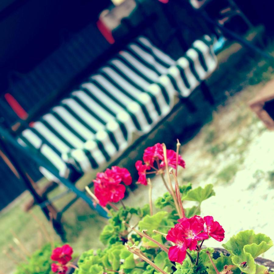 B&B Red House Garlate ภายนอก รูปภาพ
